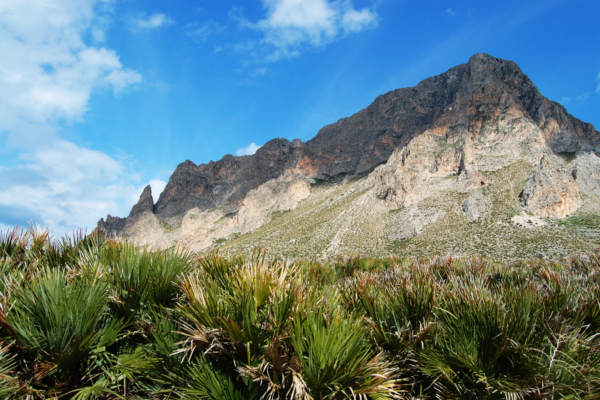 Riserva naturale del Monte Cofano